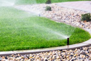 Sprinkler sprays water over a lush green lawn in a vibrant garden setting