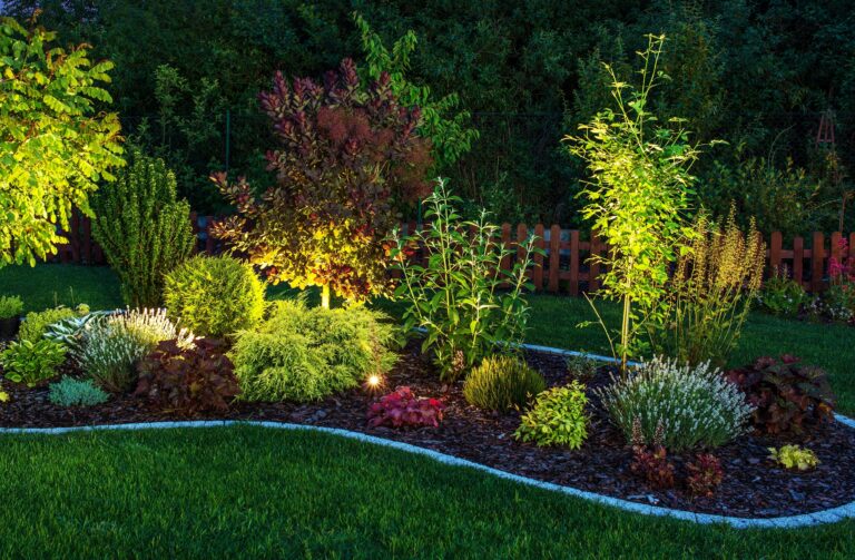 Beautifully illuminated garden bed at night, featuring a variety of shrubs and plants, highlighted by soft well lighting