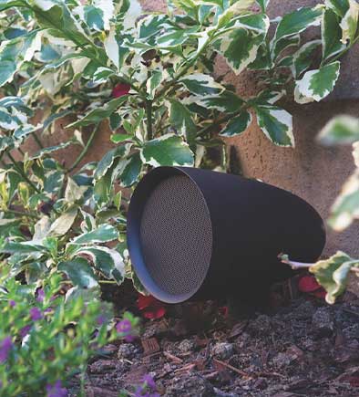 Sleek black speaker placed in the center of a vibrant garden, surrounded by colorful flowers and greenery