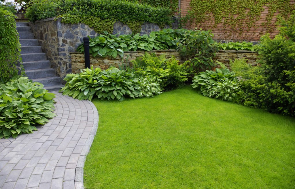 Serene garden featuring a winding stone path bordered by a charming brick wall Perfect for a peaceful stroll