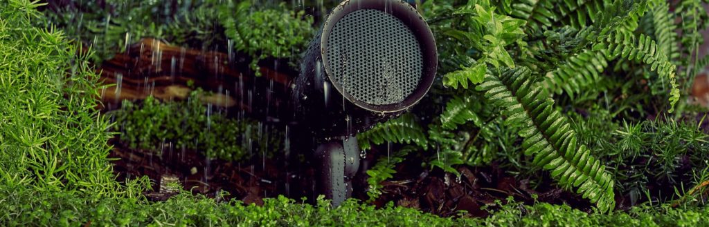 Garden hose lies on the ground, glistening with raindrops as rain falls around it