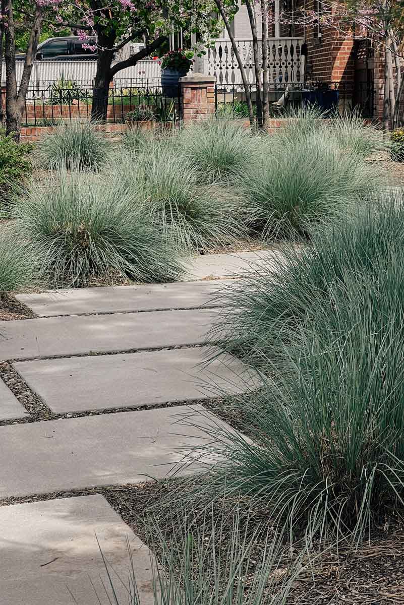 Serene walkway lined with grass and shrubs, showcasing beautiful hardscapes in a residential neighborhood