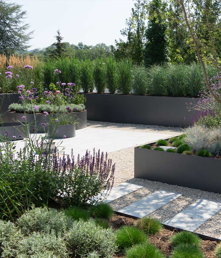 Modern garden featuring diverse plants and shrubs, showcasing beautiful hardscapes throughout the space