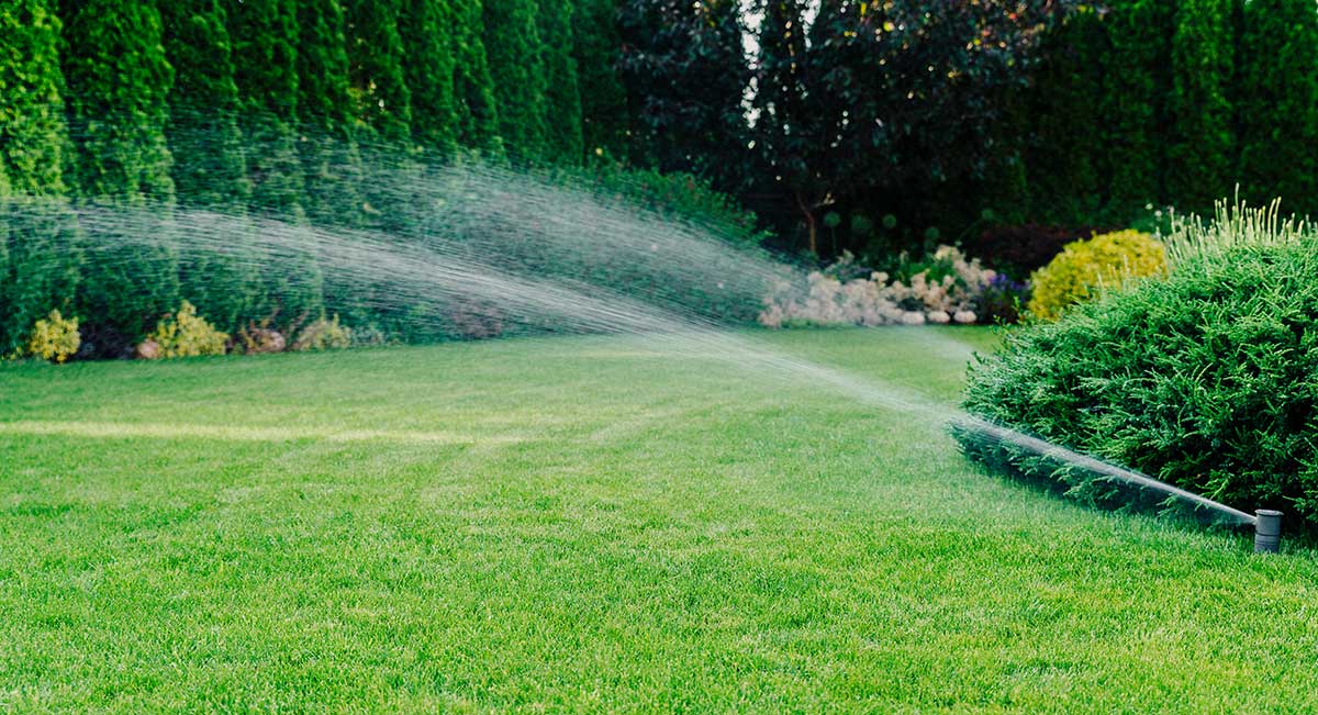 Sprinkler sprays water over a lush green lawn, keeping it vibrant and healthy