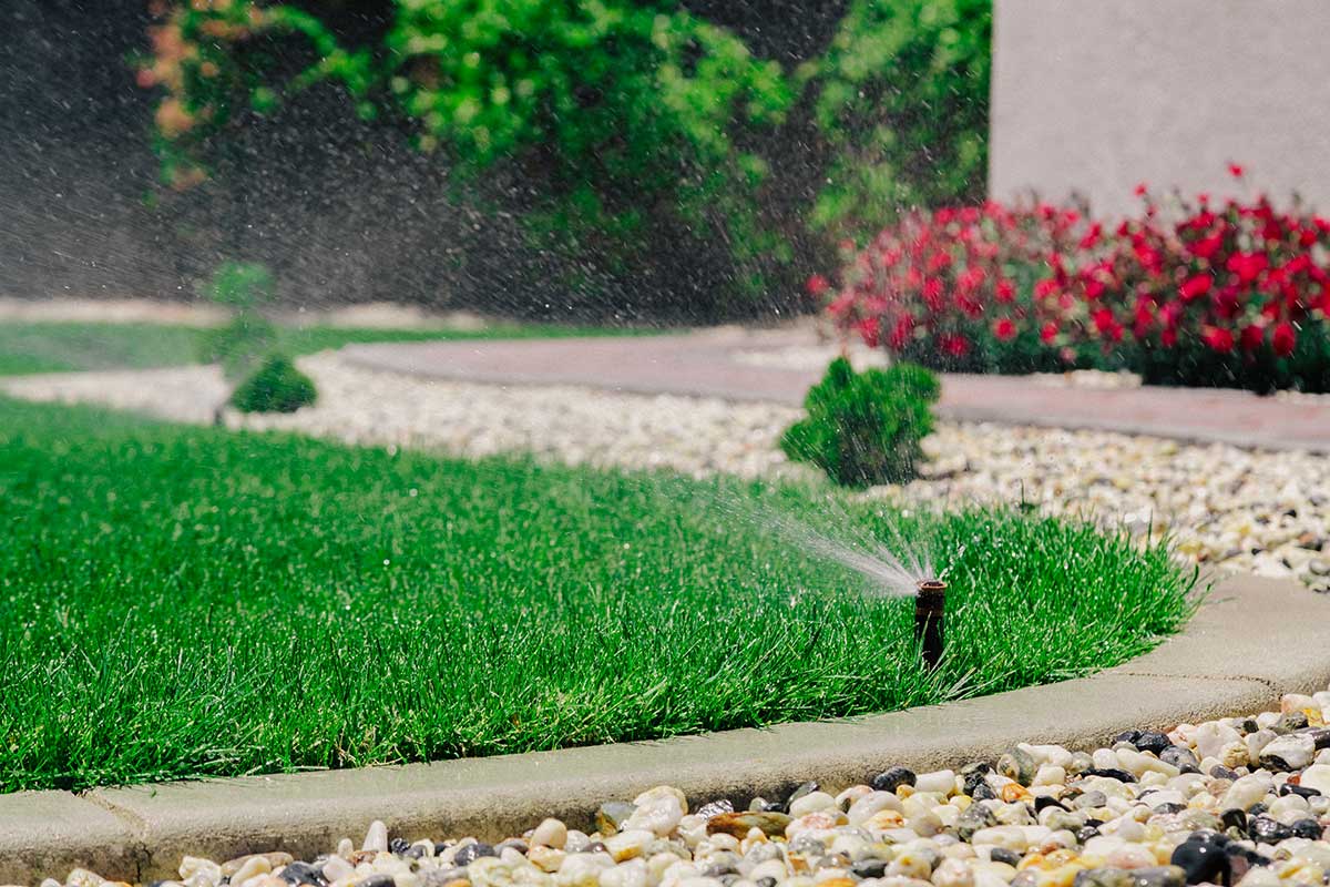 Sprinkler sprays water over a lush green lawn in a vibrant garden setting