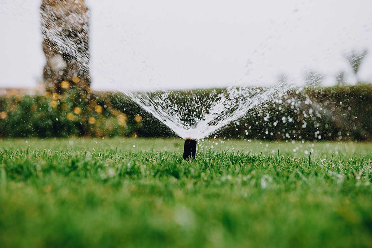 Sprinkler sprays water over a lush green lawn, keeping it vibrant and healthy