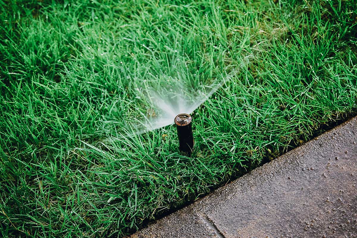 Sprinkler sprays water across a lush green lawn, keeping it fresh and vibrant