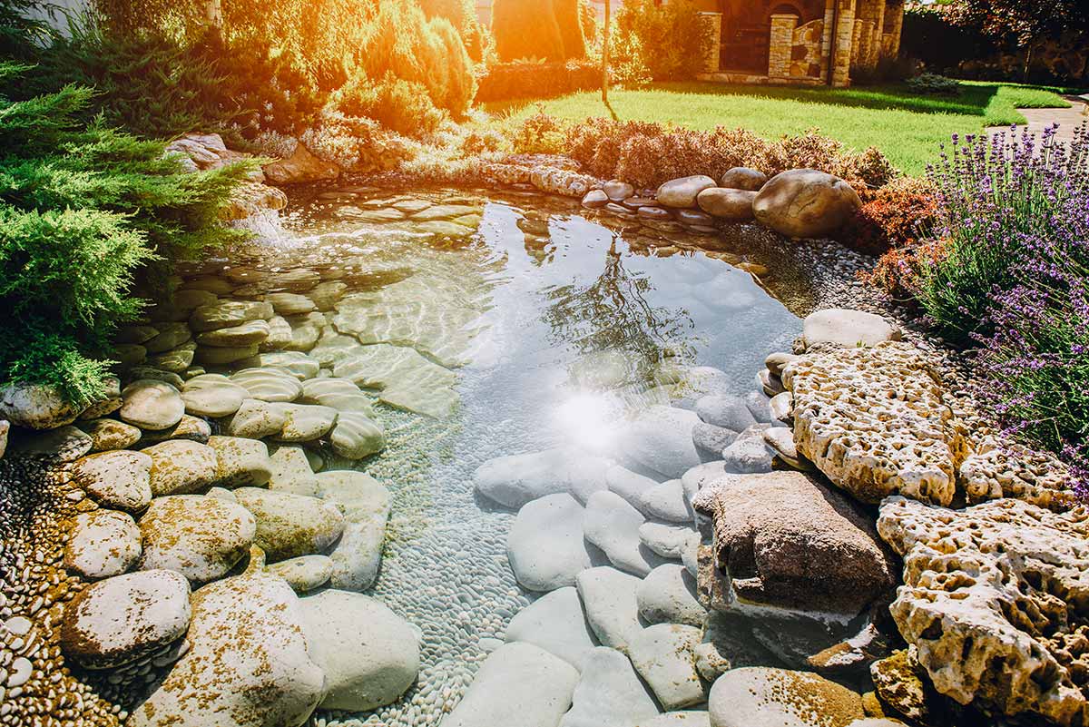 Serene garden featuring a pond surrounded by rocks, showcasing beautiful water features and lush greenery