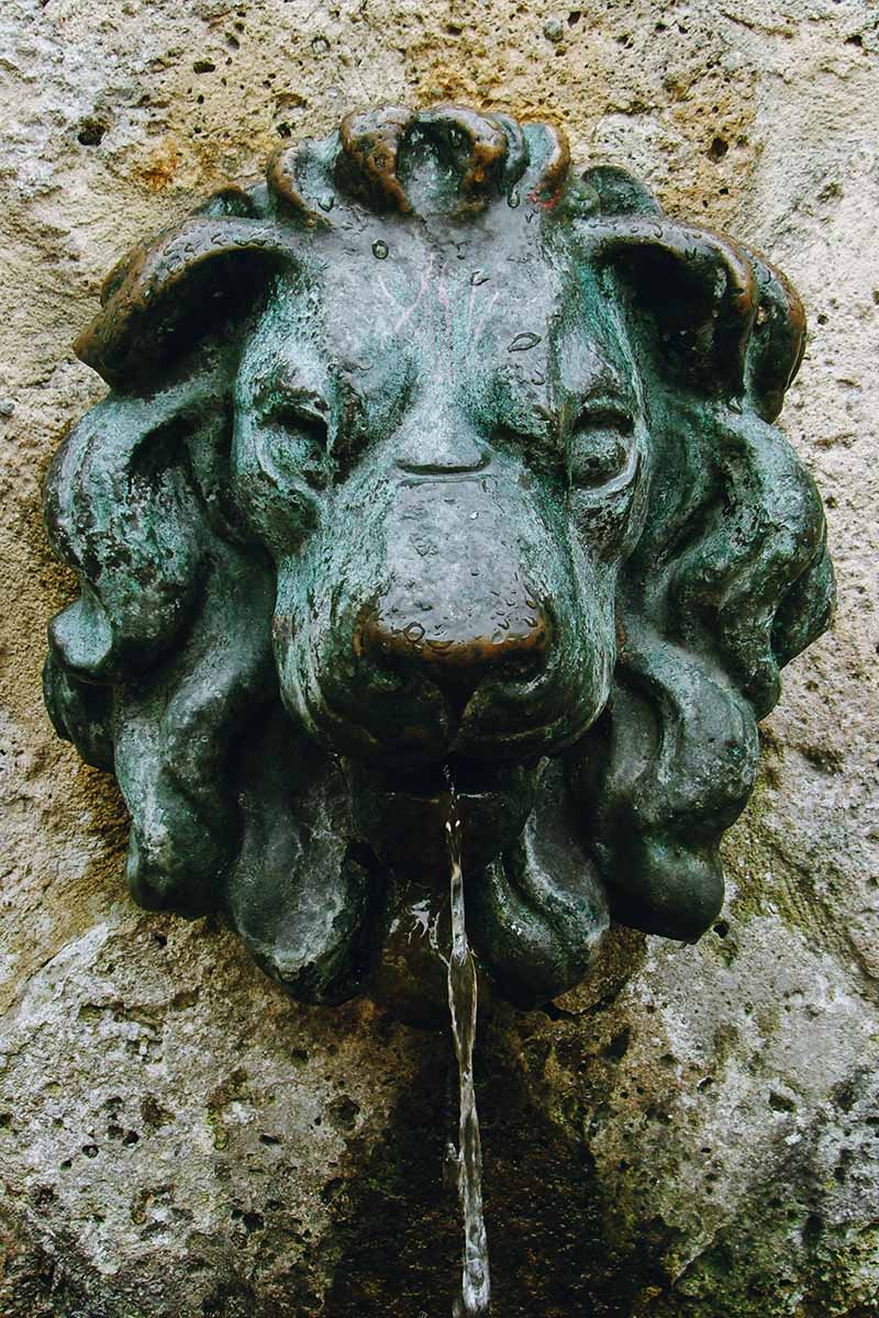 Water Features decorative water fountain featuring a lion head, flowing water adds charm to the outdoor space