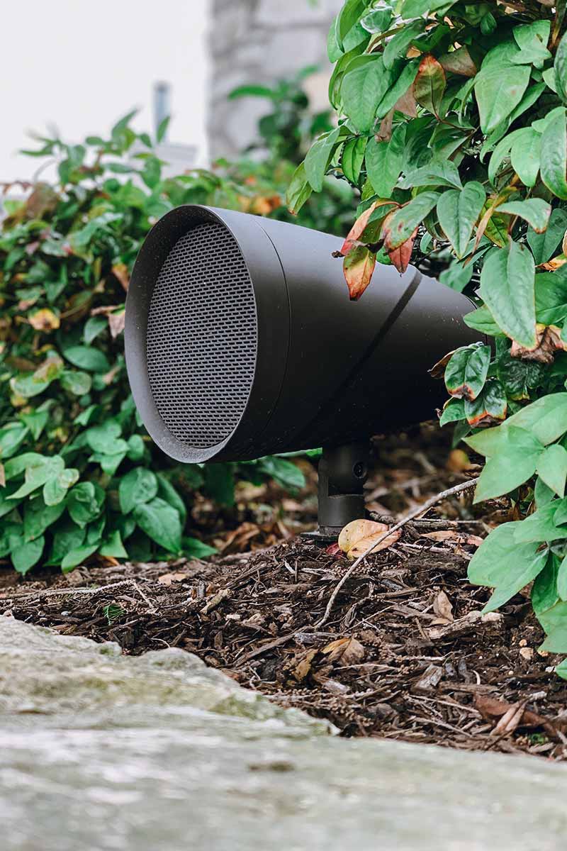 Speaker placed in the center of a vibrant garden, surrounded by colorful flowers and greenery