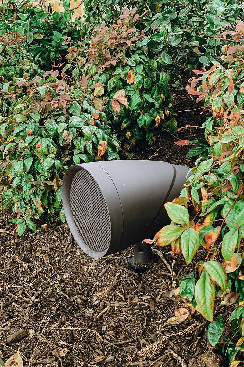 Speaker nestled in a lush green bush, blending technology with nature's beauty