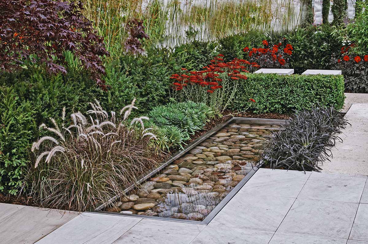 Serene garden showcasing vibrant plants and beautiful water features, creating a peaceful atmosphere