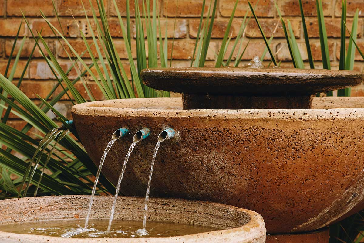 Water Features: A serene garden scene featuring a charming water fountain and a bird perched nearby