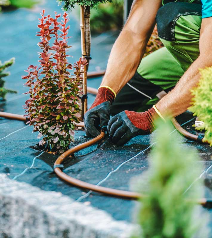 Man tends to his garden, carefully working with various plants and enjoying the outdoors