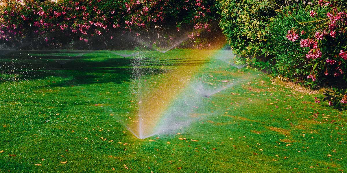 Sprinkler sprays water over a lush green lawn, creating a refreshing scene on a sunny day