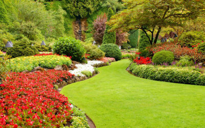 17 Essential Landscape Design Tips