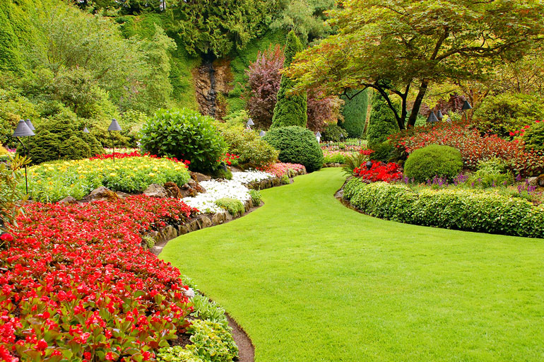 Vibrant garden filled with colorful flowers and lush green grass, creating a serene and beautiful outdoor space