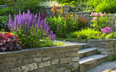 Best 21 Low Maintenance Plants To Beautify Your Landscape Design Effortlessly