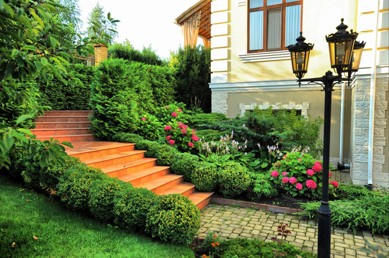 Serene garden featuring a winding stone path and a charming lamp post illuminating the surroundings