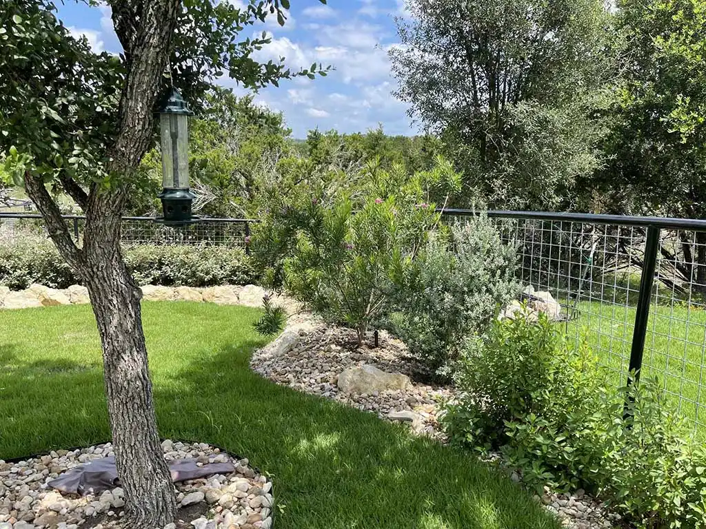 Backyard featuring softscapes with lush grass, shrubs, and a bird feeder hanging from a tree, enclosed by a wire fence