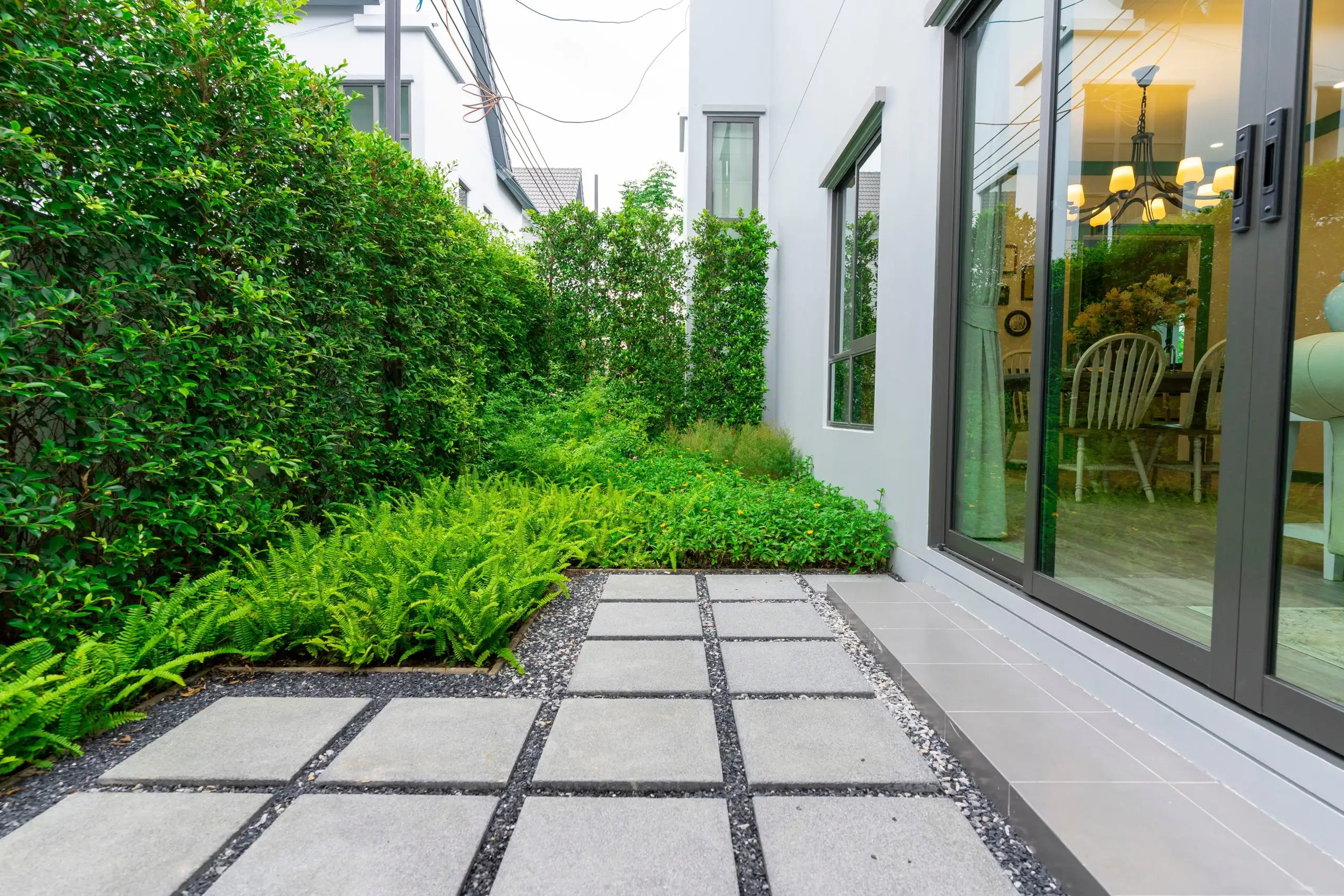 Modern backyard with concrete paver hardscapes, surrounded by lush green hedges and ferns for a clean, minimalist look