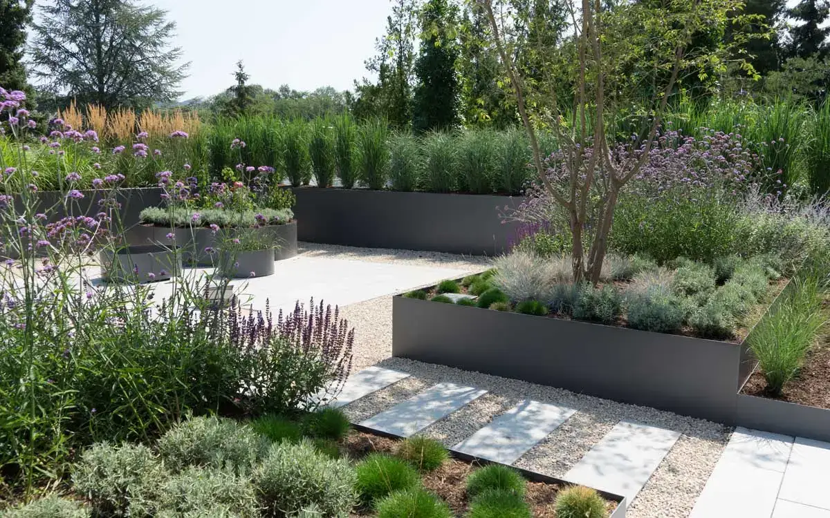 Modern garden with raised planters, clean hardscapes, and a mix of grasses and purple flowering plants