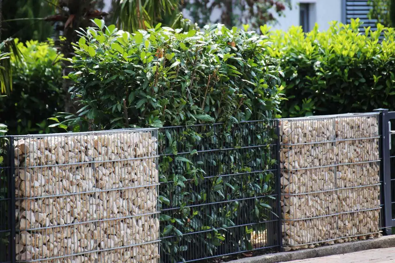 Gabion fence with stone insets surrounded by lush green softscapes, blending natural elements with modern design