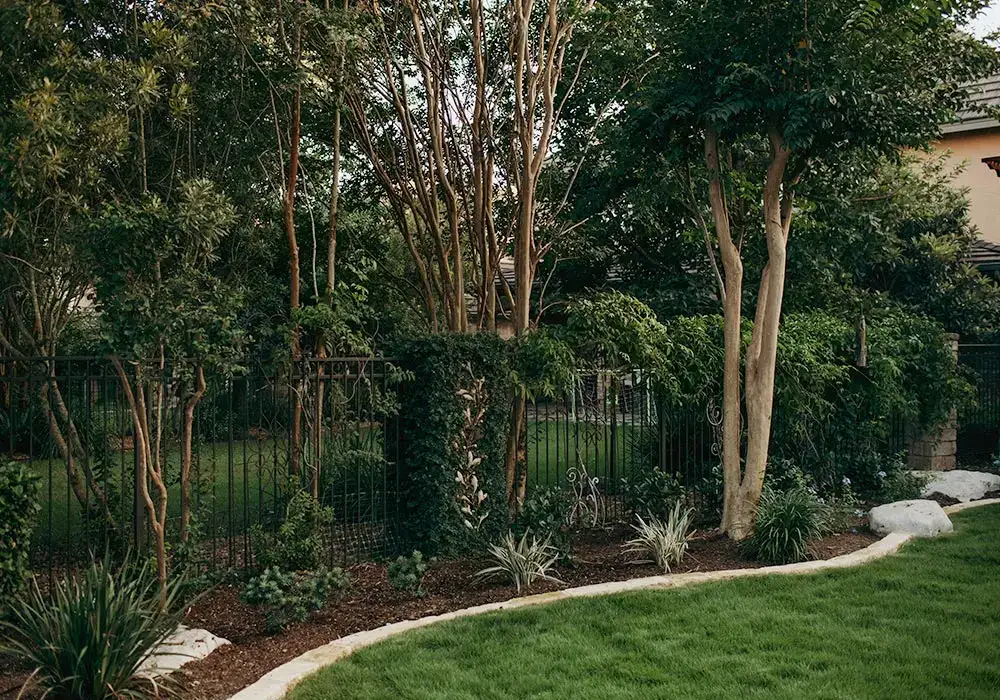 Residential lanscape with a lush lawn, tall trees, and a decorative fence, bordered by neatly arranged plants and shrubs