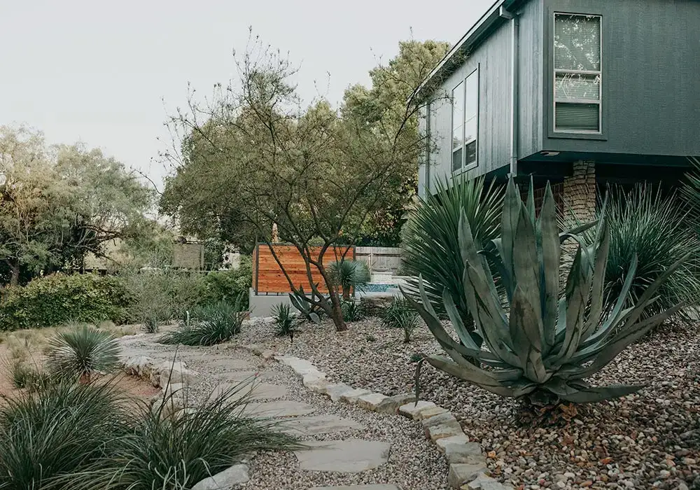 Xeriscape residential lanscape featuring large agave plants, gravel paths, and a modern house with natural greenery