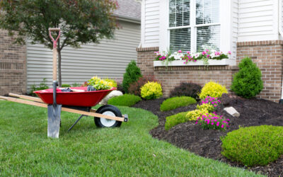 15 Residential Landscaping Ideas For Your Home