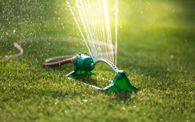 8 Lawn Irrigation Tips You Should Know