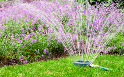 Irrigation System Installation: Tips For Success