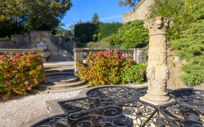 San Antonio Landscape Designers Vs. Flat Fee Online Service: Which Is Right For You?