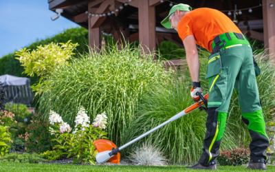 7 Residential Landscape Maintenance Tips For Your San Antonio Home