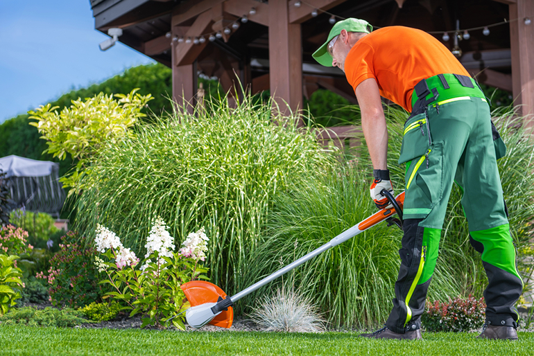 7 Residential Landscape Maintenance Tips For Your San Antonio Home