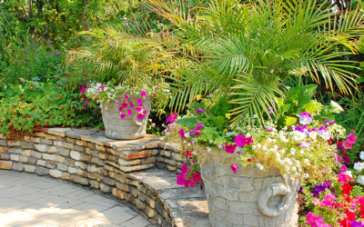 A Guide To Softscape Installation For Your San Antonio Home