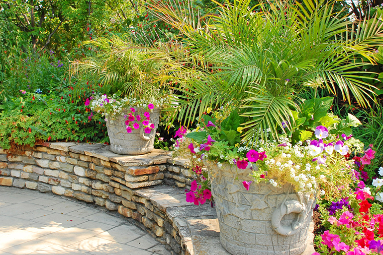 A Guide To Softscape Installation For Your San Antonio Home