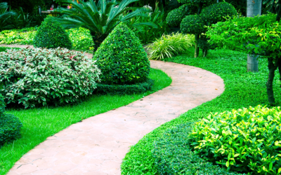 Essential Softscape Lawn Care Tips For San Antonio Homeowners