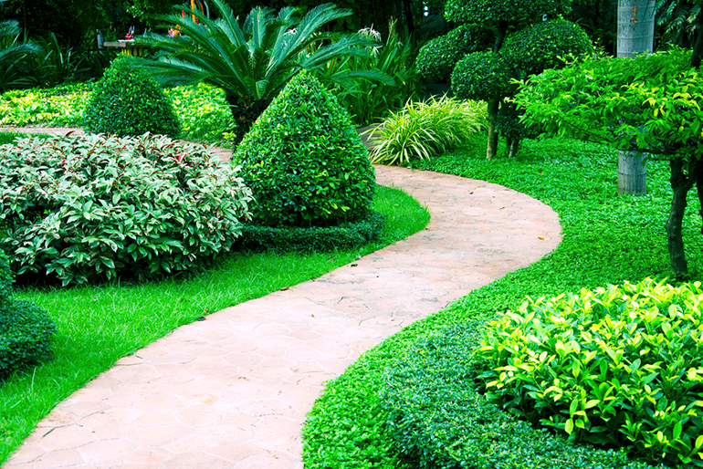 Essential Softscape Lawn Care Tips For San Antonio Homeowners