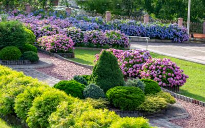 Tips For Combining Hardscape And Softscape In Your San Antonio Home