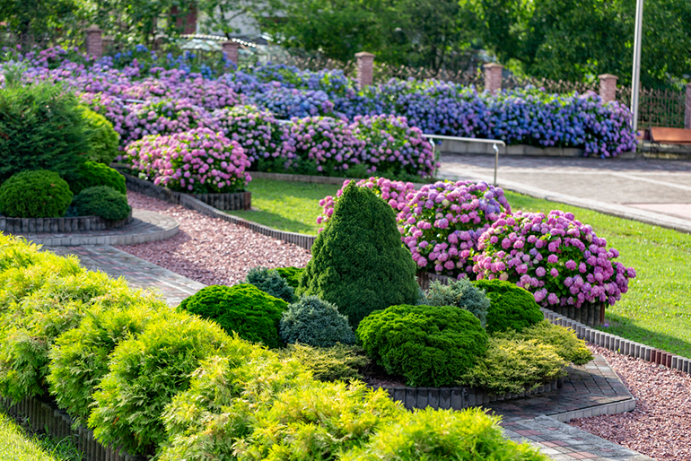 Tips For Combining Hardscape And Softscape In Your San Antonio Home